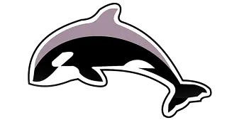 Zackria International